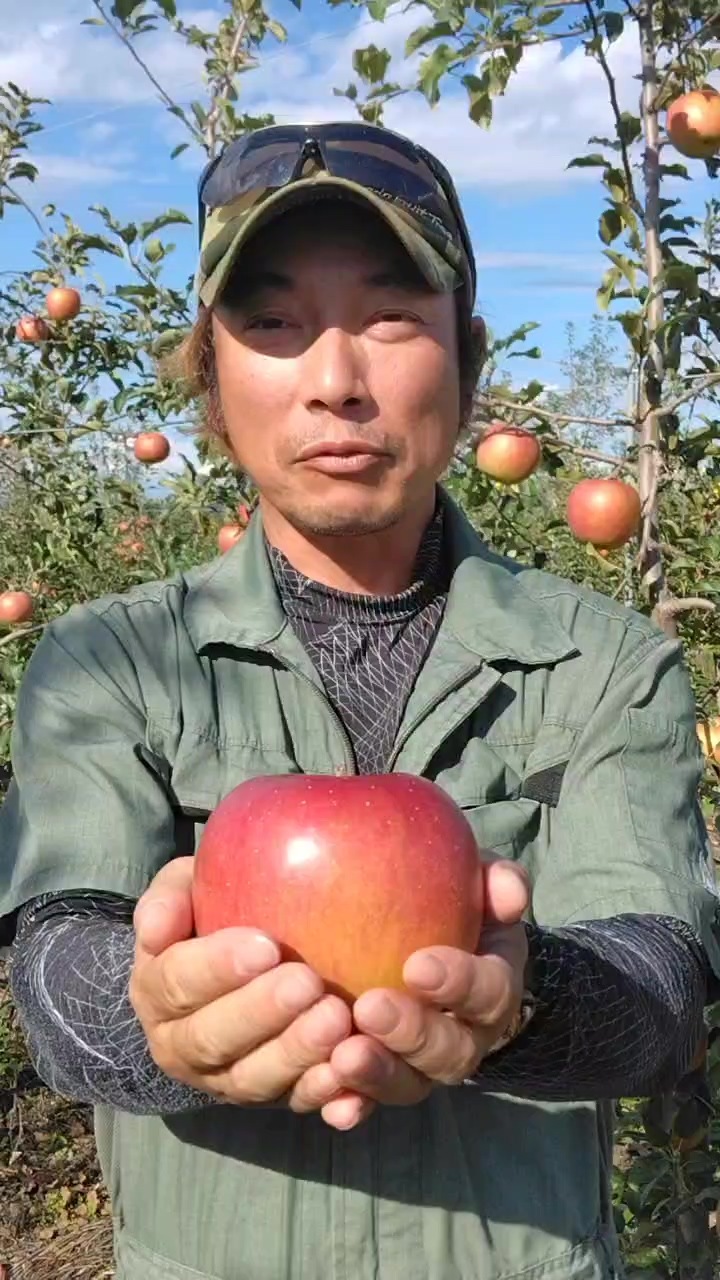 安曇野の畑から生まれるりんごを追いかけて〜生産現場編～